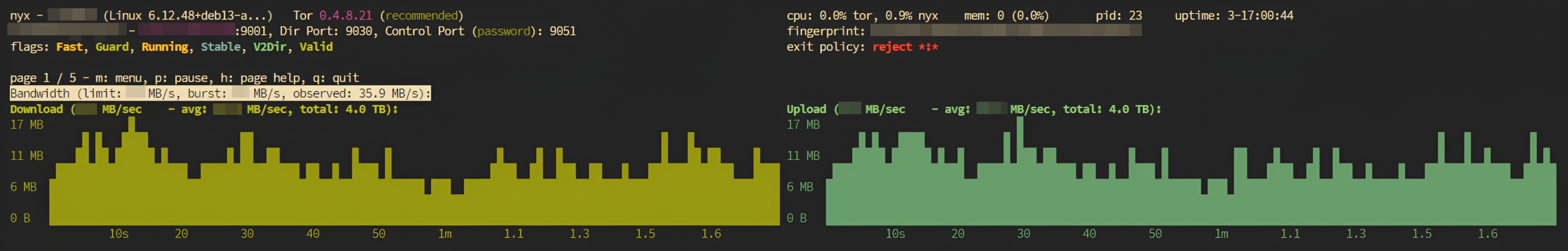 Nyx Monitor Interface